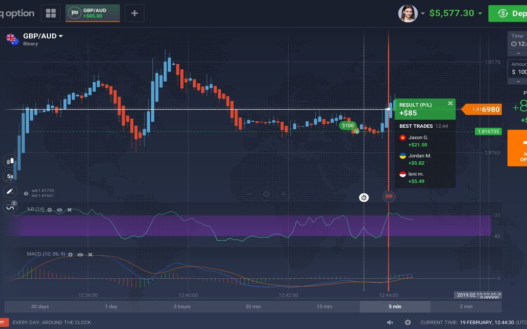 IQ Option Review